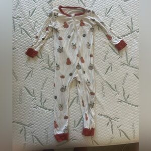 Kyte Baby squash and pumpkin print zip - 3T